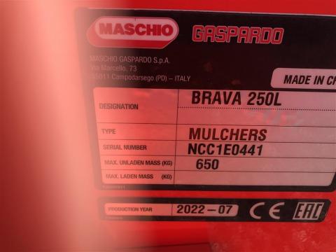 Maschio Brava 250 P LAGER TIL OMGENDE LEVERING